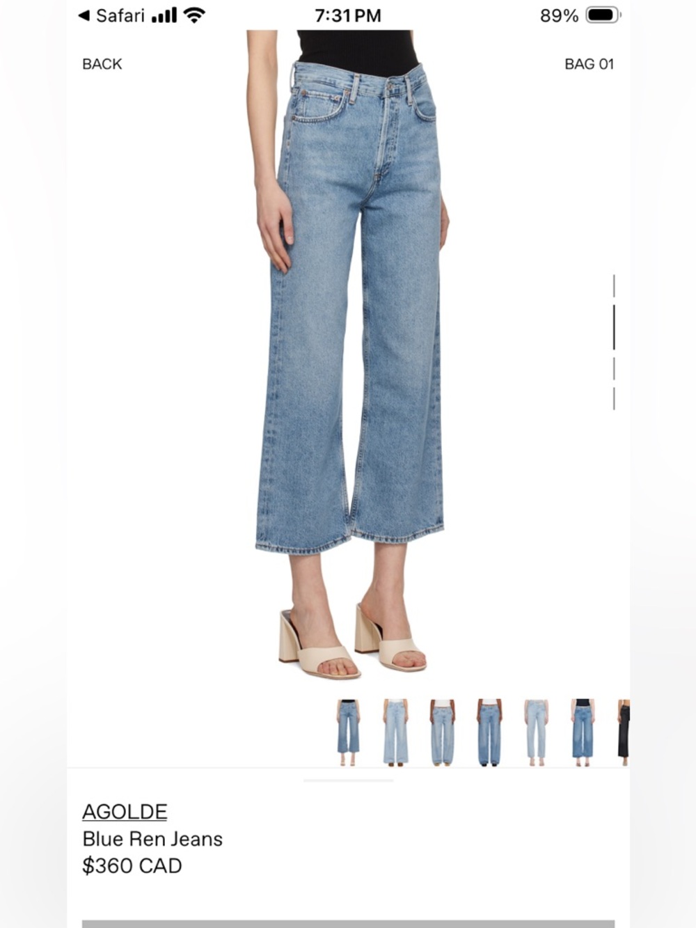 AGOLDE REN JEANS in DISCLOSURE